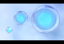 銀耳多糖(TFPS)在抗光老化中的應用研究(下)